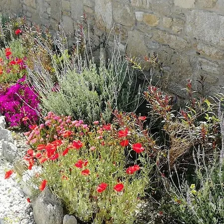 Blue Waves Mykonos Hébergement de vacances Kalafatis