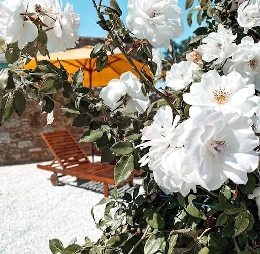 Casa vacanze Blue Waves Mykonos Kalafatis