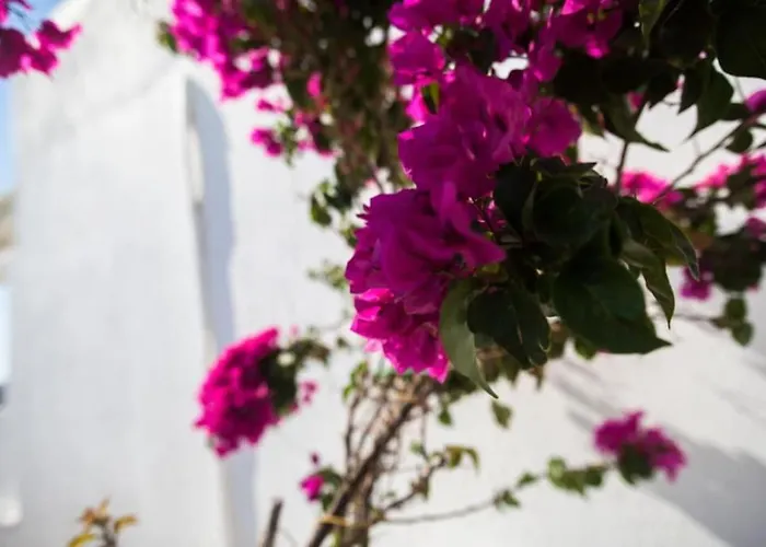 Blue Waves Mykonos Casa vacanze Kalafatis