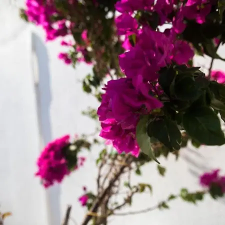 Blue Waves Mykonos Semesterbostad Kalafati