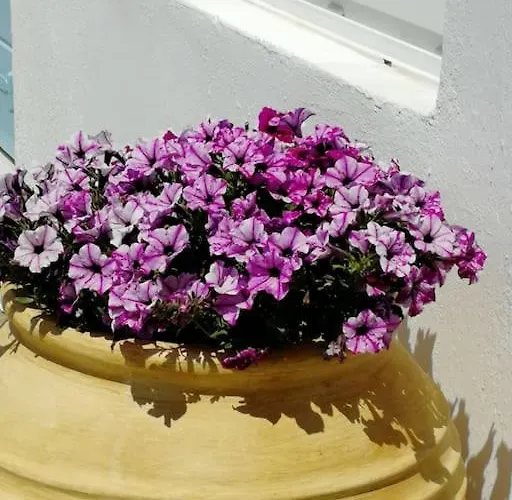 Dom wakacyjny Blue Waves Mykonos